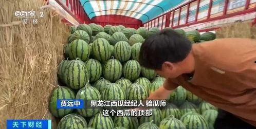 睢宁吃瓜热点,揭秘网络热点的背后真相