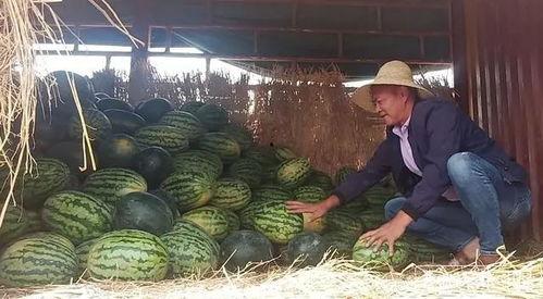 吃瓜2元店,物美价廉，惊喜连连