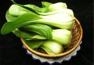 op菜吃瓜,网络热词背后的文化现象