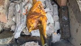 农村国宝吃瓜,揭秘乡村生活趣味瞬间