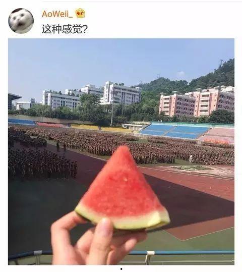 上海学姐吃瓜,揭秘校园热点背后的真相