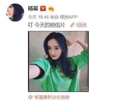 杨叔叔吃瓜,一场甜蜜的消暑之旅