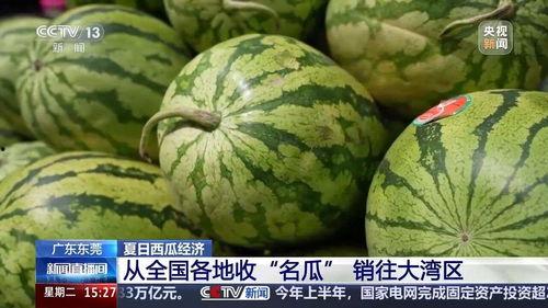 吃100个瓜,一场味蕾与夏日的完美邂逅