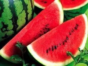 每天除了吃瓜还是吃瓜,我的日常食趣之旅