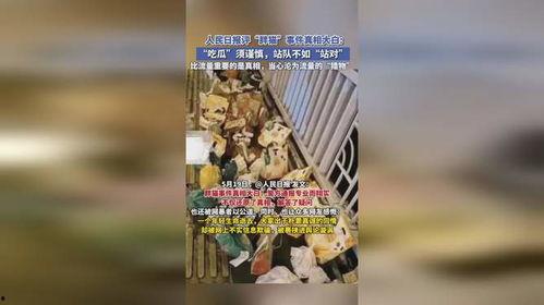 胖猫事件吃瓜吗,网络热议背后的真相与反思