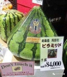 全网最美吃瓜群众