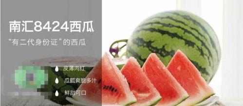 对吃瓜的评价,揭秘网络舆论场中的众生相