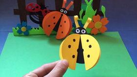 学员手工教程吃瓜,学员手工教程吃瓜大揭秘