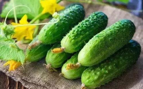 夏季一瓜吃,一瓜解千愁——夏季瓜果盛宴