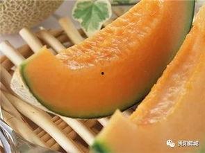 吃瓜的哈密瓜图片大全,哈密瓜图片大全赏析