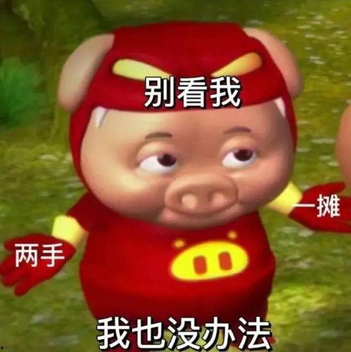 猪猪侠吃瓜群众,揭秘娱乐圈幕后风云