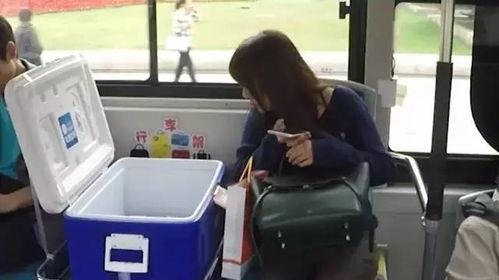 韩国整蛊吃瓜群众,揭秘吃瓜群众的欢乐陷阱