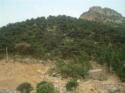 吃瓜山顶,探寻神秘瓜果的传奇故事