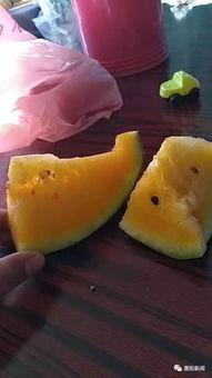 吃瓜网出售,热门瓜子的独家出售攻略