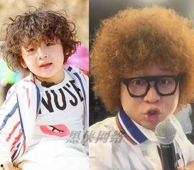 吃瓜小卷毛,揭秘娱乐圈那些不为人知的幕后故事