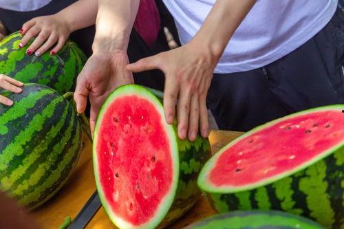 各大学吃大瓜,揭秘各大校园的“吃瓜”盛事