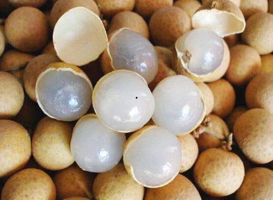 吃桂圆能吃瓜吗,食用搭配的奥秘解析